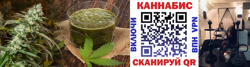 продажа наркотиков Новая Ладога OMG как зайти Печенье с ТГК марихуана