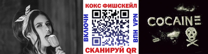 COCAIN Fish Scale  сайты даркнета клад  Новая Ладога 