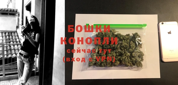 Альфа ПВП Белокуриха