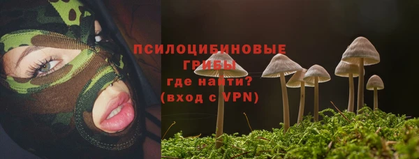 индика Белоозёрский