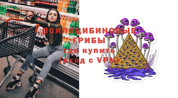 ALPHA PVP Беломорск