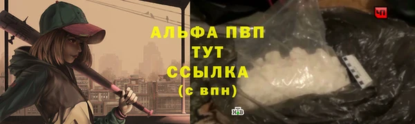 индика Белоозёрский