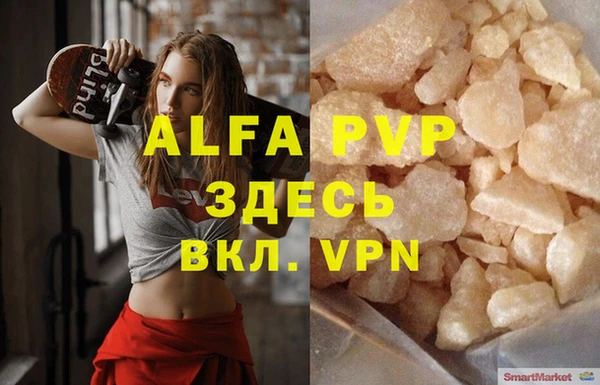 индика Белоозёрский