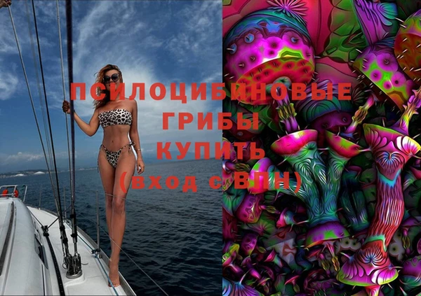 индика Белоозёрский