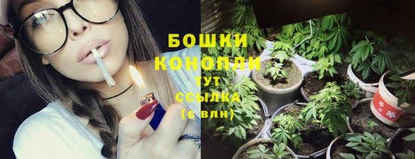 Альфа ПВП Белокуриха