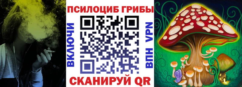 Галлюциногенные грибы мицелий  где найти   Новая Ладога 
